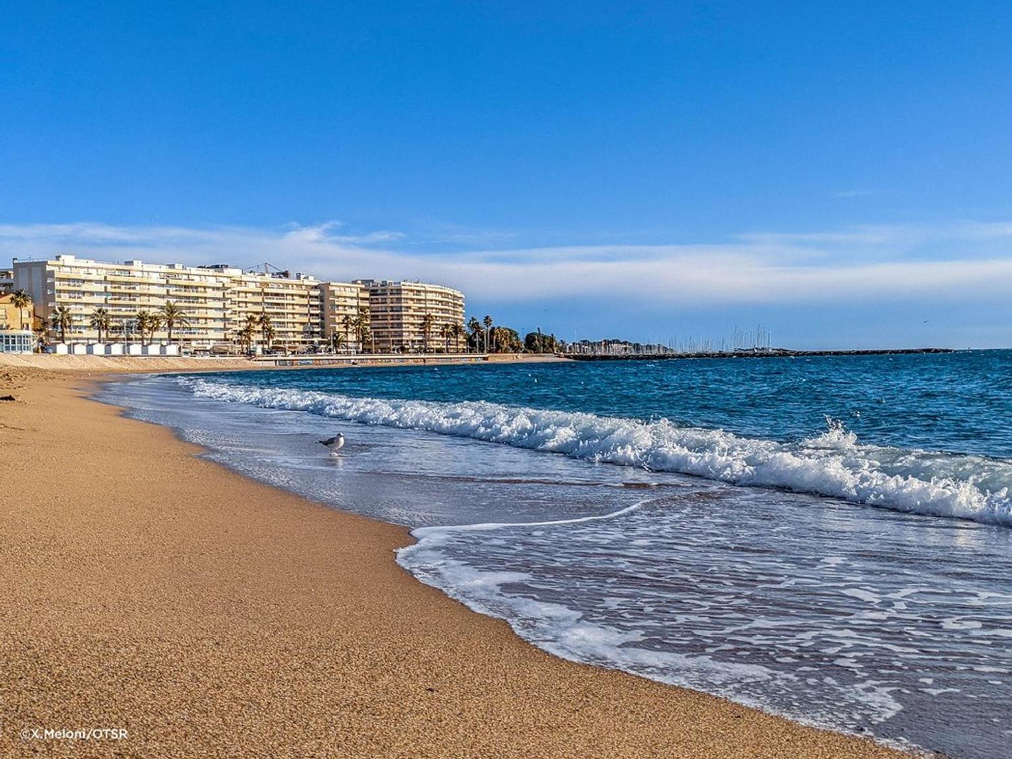Appartement 2P, 4 Couchages, Terrasse Et Salon De Jardin A 200M De La Plage, Frejus - Fr-1-226A-22 المظهر الخارجي الصورة